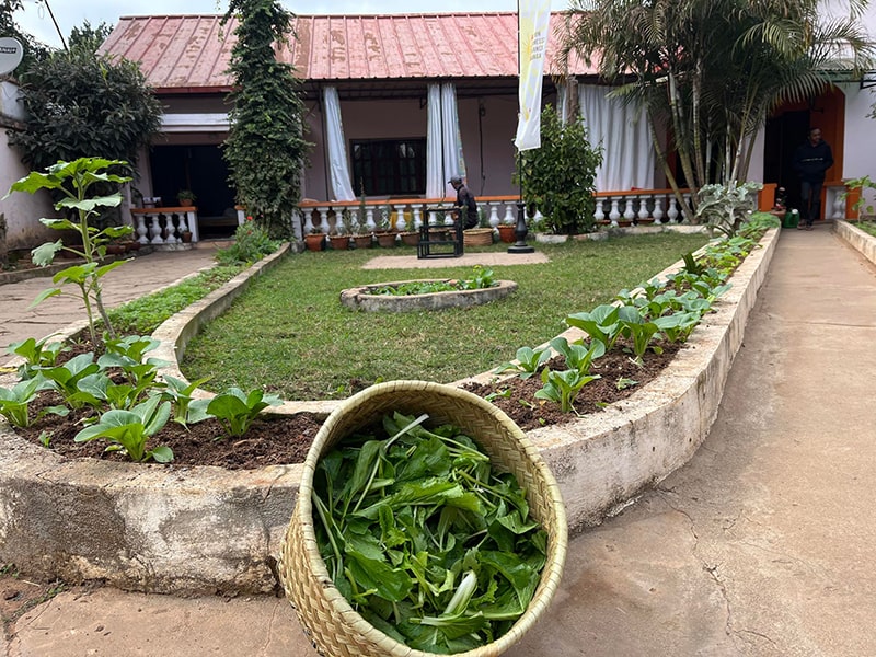 			image11
	